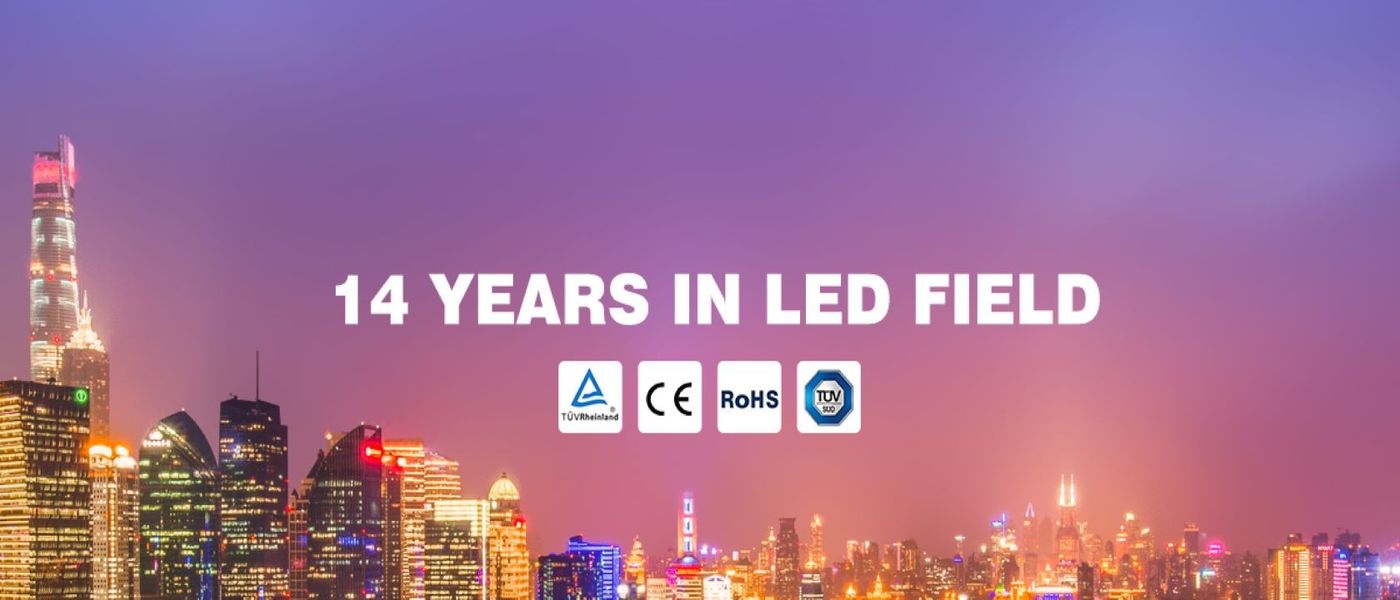 China am besten Neonbeleuchtung Dreamcolor LED en ventes