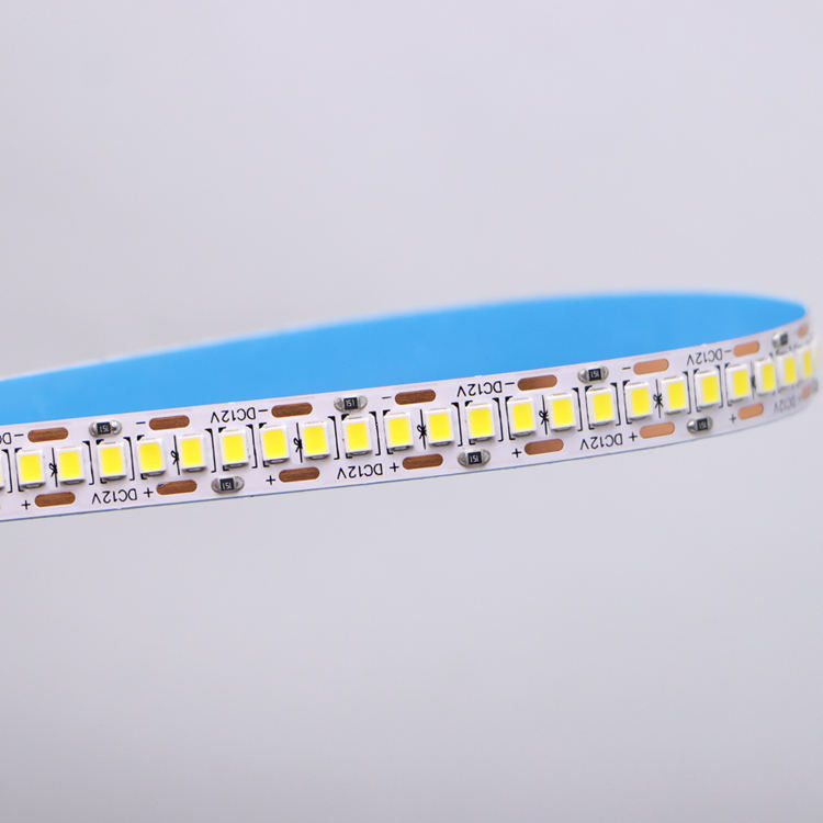 DC12V/24V 10mm 5M/Roll 2835 80Ra LED-Streifen mit weißem PCB und 120° Strahlwinkel