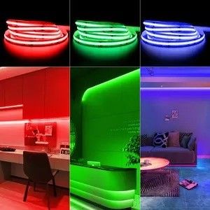 Produktgewicht 0,3kg 5m 10m Smart Strip Light mit Traumfarbe RGB COB Chip LED