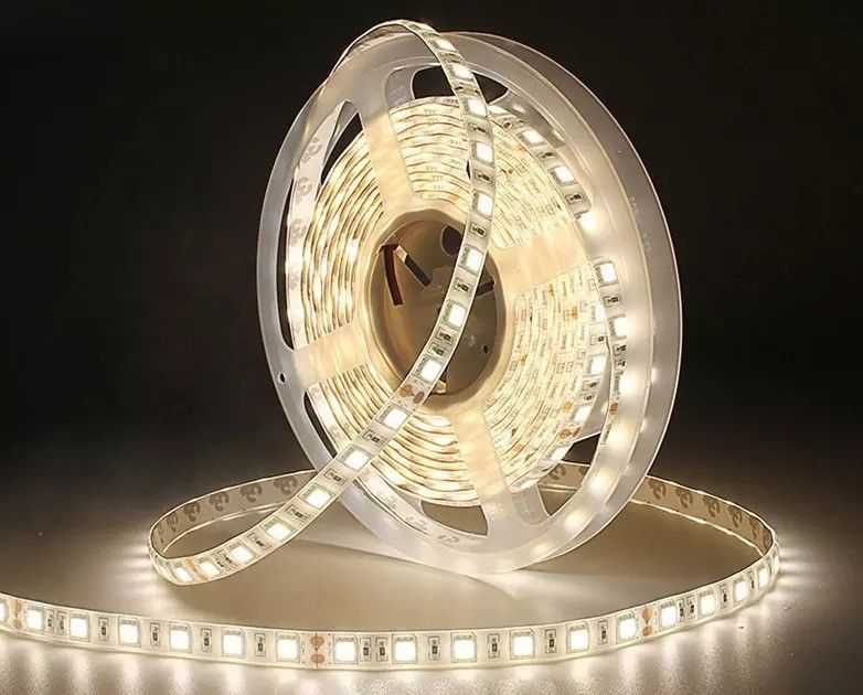 12w 12v 24v 10mm 60 Leads Rgb 5050 Smd Flexible Led Strip Light mit und mehreren Farben