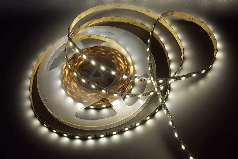 12w 12v 24v 10mm 60 Leads Rgb 5050 Smd Flexible Led Strip Light mit und mehreren Farben