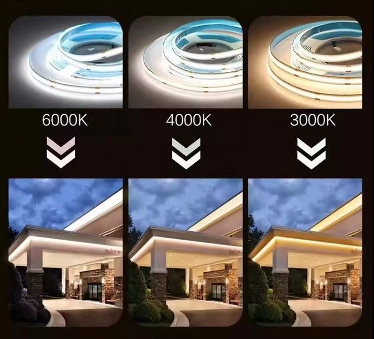 Außenwasserdichtes Hochspannungs-COB-LED-Streifenlicht mit IP65 und CRI Ra von 80